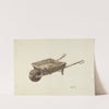 Wheel Barrow by Geoffrey Holt
