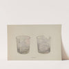 Whiskey Glass by Chris Makrenos