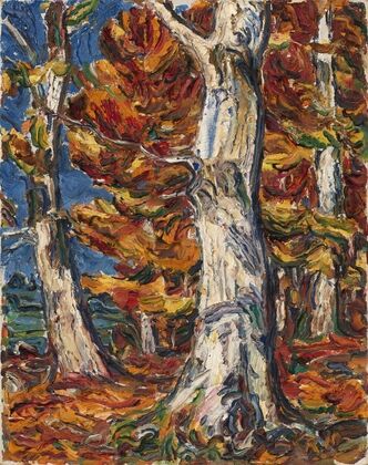 White Beeches in Fall (1910)