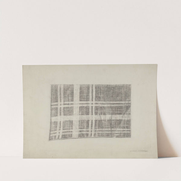 White Cotton by Herbert Marsh