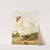 White Dorking (1867) by Harrison Weir