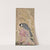 White-Eared Bulbul Perched on a Pink Rock by Mu’in Musavvir