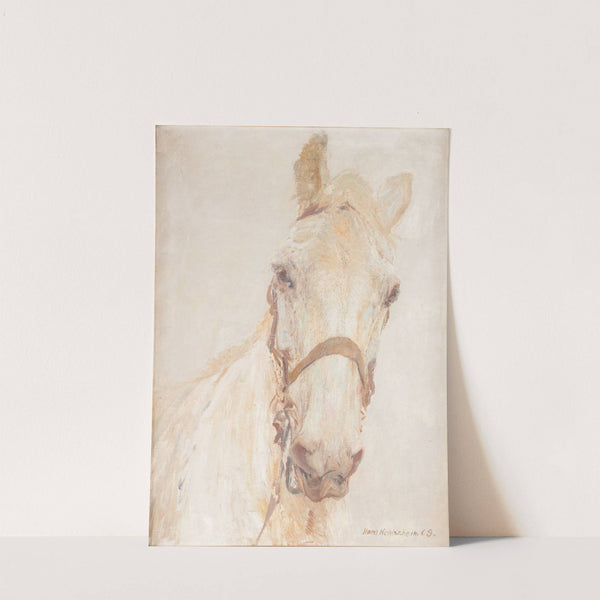 White horse by Hans Kohlschein