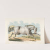 White horse running (1817-1818) by Henry Thomas Alken