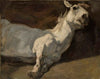 White horse stretched on the ground