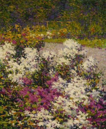 White Phlox (1906)