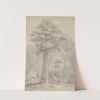 White pine, Stokes Valley, Upper Hutt by William Swainson