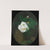 White Rose by James Stuart Park