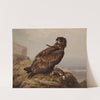 White-Tailed Eagle With Its Prey (1861) by Ferdinand von Wright