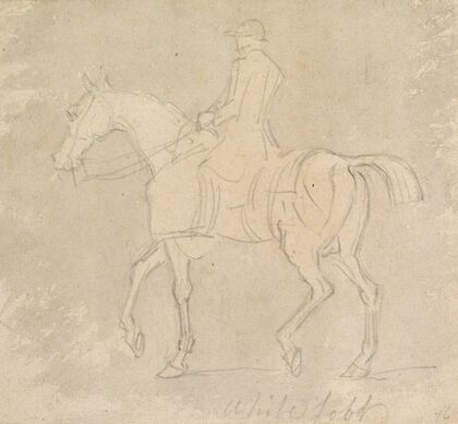 Whitefoot at Exercise; Hooded and Rugged, Jockey up, Walking to Left
