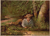Why don’t they bite (1869)