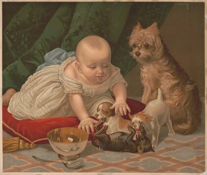 Wide awake (1876)