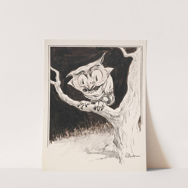 Wide-eyed owl on branch (1904) by John Samuel Pughe