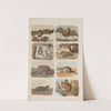 Wielki atlas do zoologii, botaniki i mineralogii Pl.002 (1887) by Gustav von Hayek