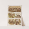 Wielki atlas do zoologii, botaniki i mineralogii Pl.007 (1887) by Gustav von Hayek