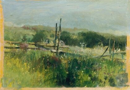 Wiese mit Zaun