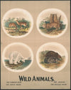 Wild animals no. 29 (1903)