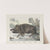 Wild boar (1829-1880) by Joseph Scholz