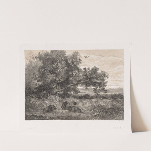 Wild Boar in a Pond (c. 1850) by Karl Bodmer