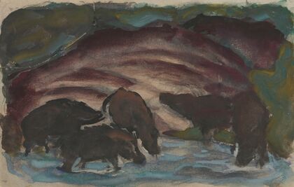 Wild Boars in the Water