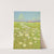 Wild Daisy by Lafayette F. Cargill