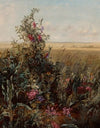 Wild Flowers