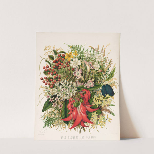 Wild Flowers and Berries. Plate 0 by Sarah Featon