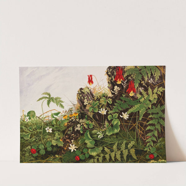 Wild Flowers No. 1 by Ellen Robbins