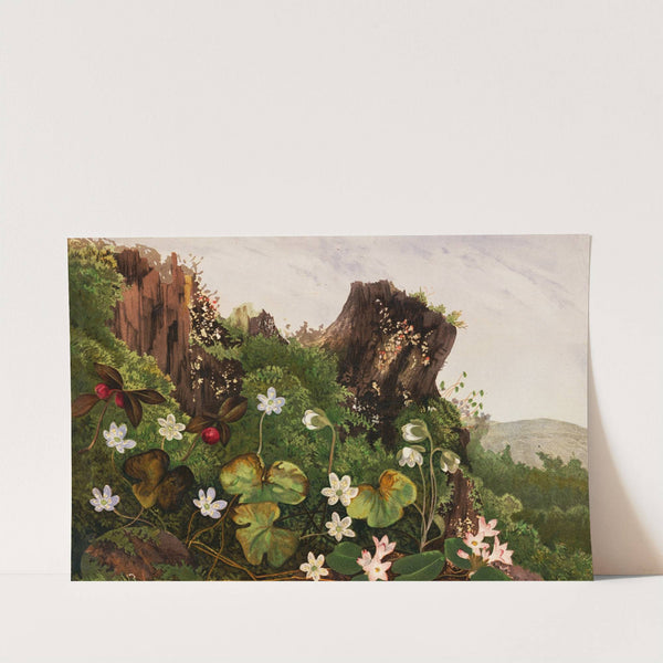 Wild Flowers No. 2 by Ellen Robbins