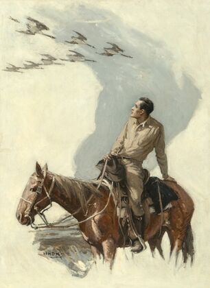 Wild Geese