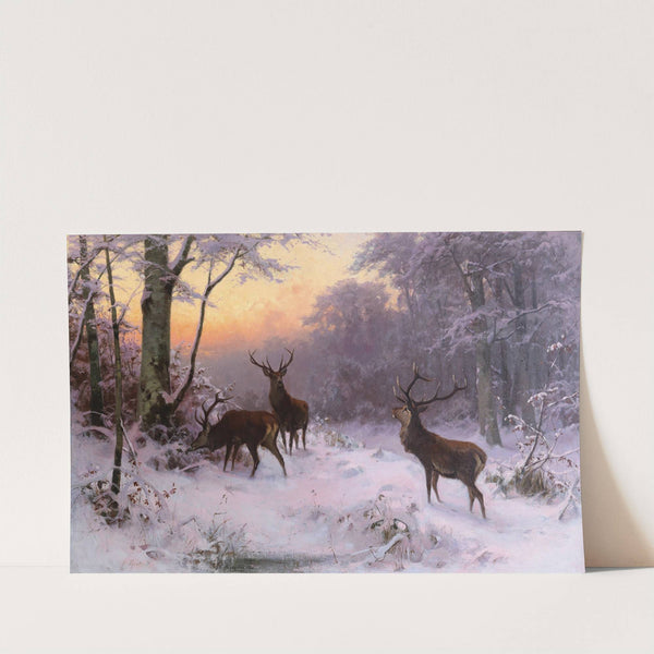 Wild im Winterwald by Arthur Thiele
