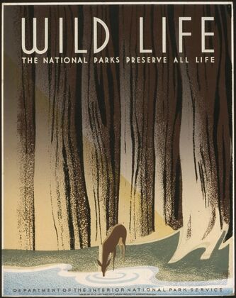 Wild life The national parks preserve all life. (1936) — size preview