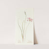 Wild Onion by Margaret Armstrong