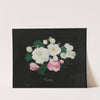 Wild Roses by James Stuart Park