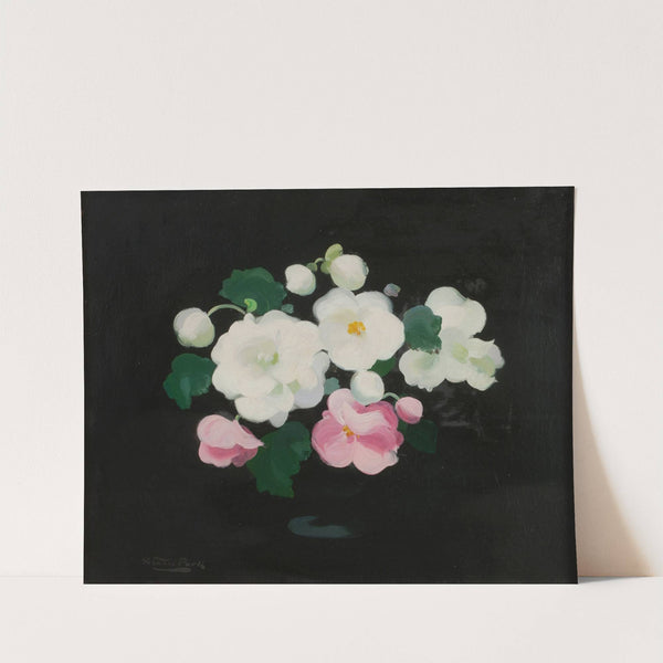 Wild Roses by James Stuart Park