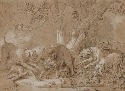 Wild Sow and Her Young Attacked by Dogs