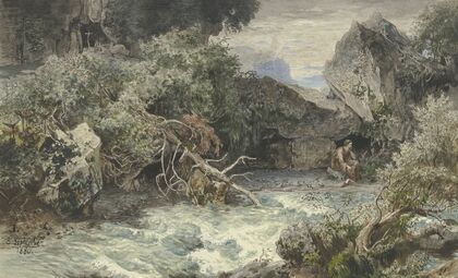 Wild stream with hermit