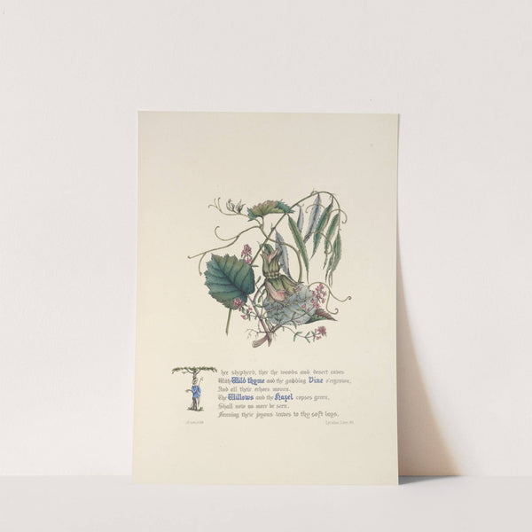 Wild Thyme, Vine, Willows and hazel by Jane Elizabeth Giraud