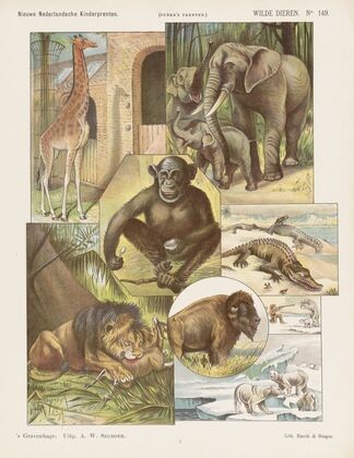 Wilde dieren. (1875-1919)