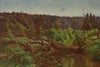 Wilderness; Forest Windfalls (1902)