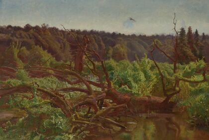 Wilderness; Forest Windfalls (1902)