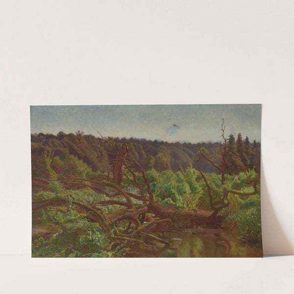 Wilderness; Forest Windfalls (1902) by Jozef Chelmonski