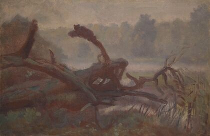 Wilderness; Forest Windfalls, sketch (1902)