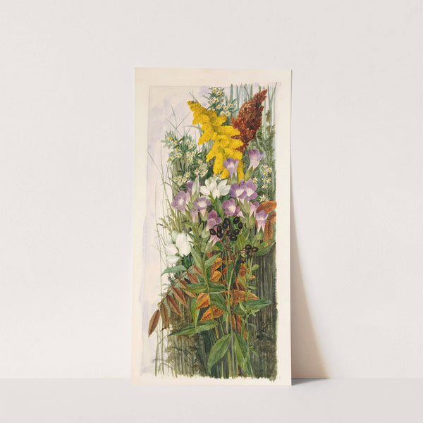 Wildflowers by Ellen Robbins