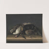 Wildfowl On A Wooden Table by Jacob Biltius