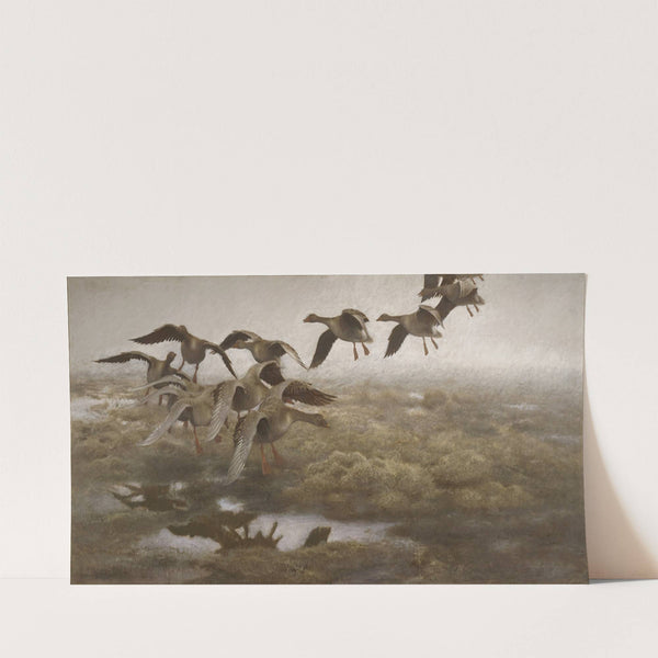 Wildgeese Settling (1907) by Bruno Liljefors