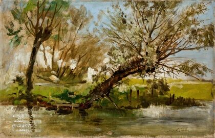 Willows