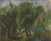 Willows. Altai