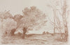 Willows and Poplars