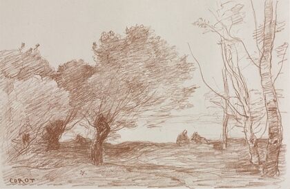 Willows and Poplars